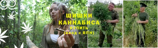 винт Гусь-Хрустальный